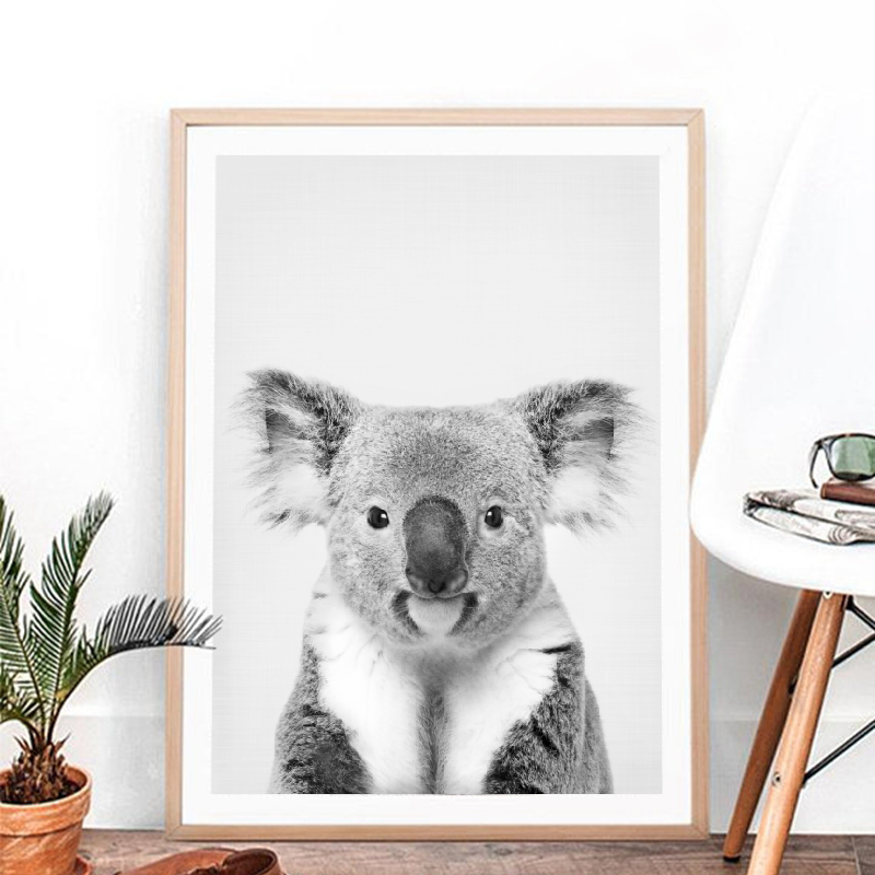 Koala-Druck, Schwarz-Weiß-Bild – Photography Zoo Bewertung und Preis