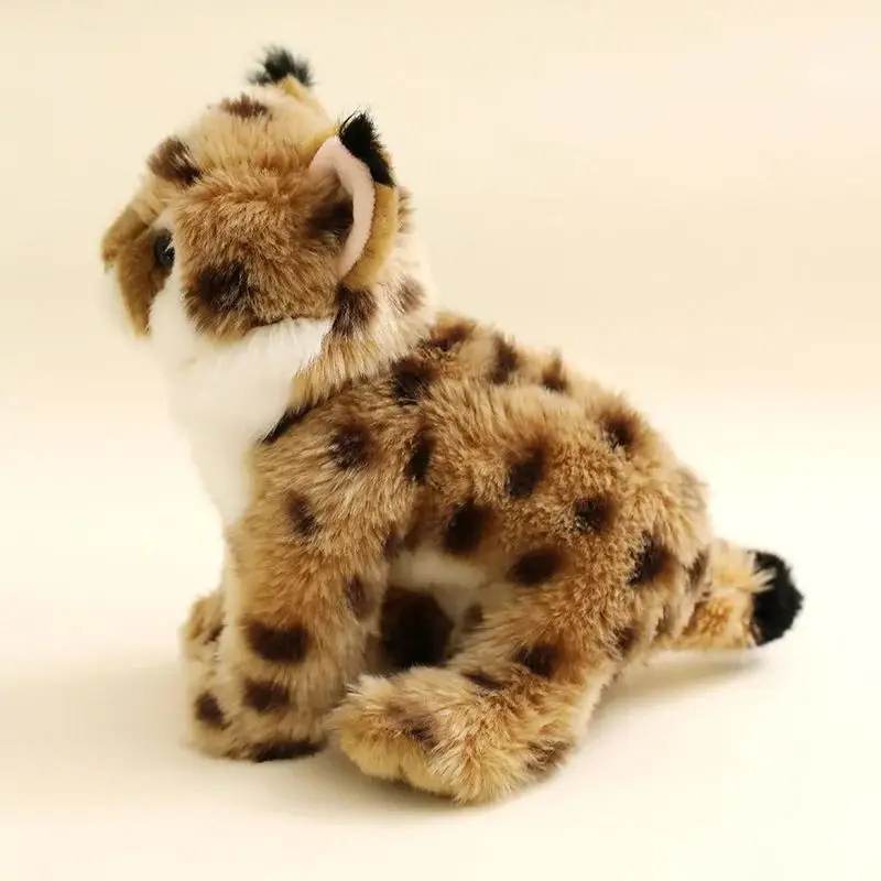 Lebensechte Felidae Luchs Plüs – Photography Zoo Bewertung und Preis