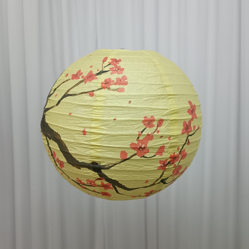30cm Bedruckte Papier-Laternen – Photography Day Bewertung und Preis